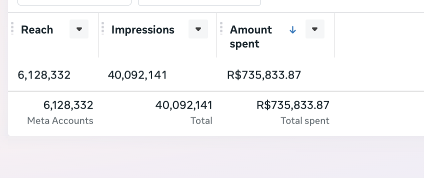 Print do gerenciador da Meta: R$735.833,87 investidos em 12 meses gerando consultas para as clientes da agência Reconecta