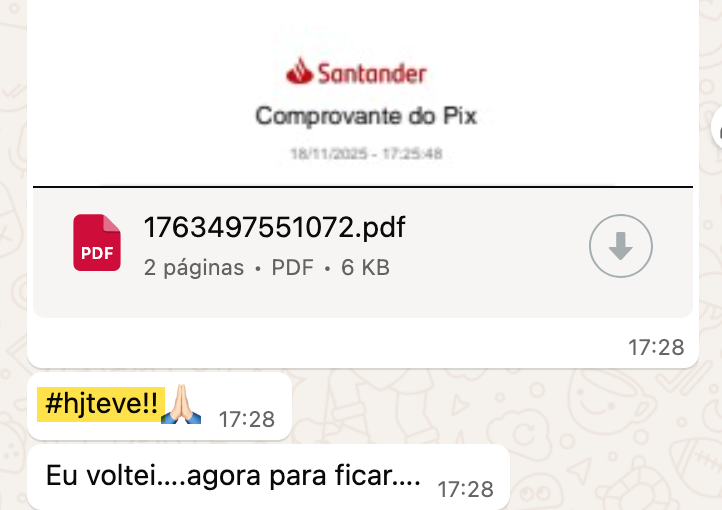 Print de mensagem de mentorada Reconecta