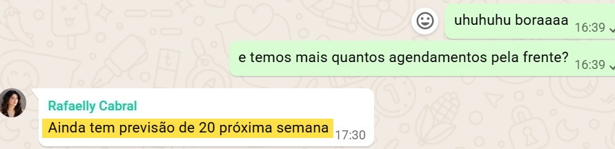 Print de mensagem de mentorada Reconecta